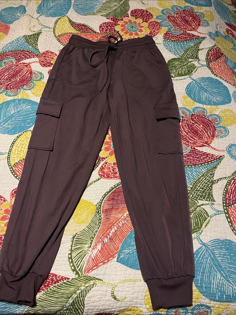 Rachel Zoe Dark Plum Cargo Jogger Pants